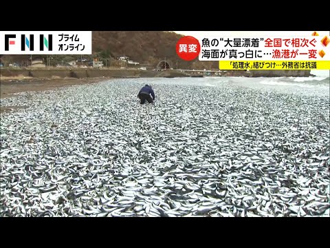 魚の&ldquo;大量漂着&rdquo;全国で相次ぐ　海面が真っ白に...漁港が一変　「処理水」結びつけ...外務省は抗議