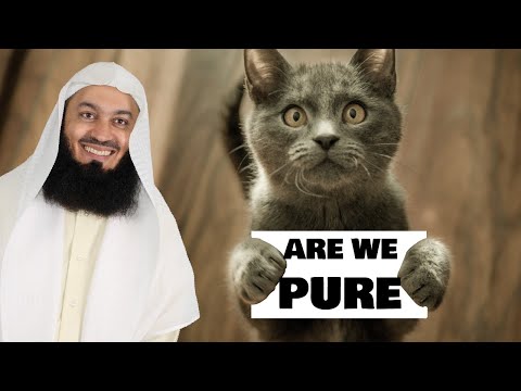 Are cats pure? Mufti Menk