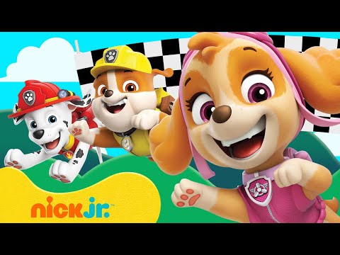 PAW Patrol Race to the Finish Line! ? w/ Skye, Rubble &amp;amp; Marshall | Games For Kids | Nick Jr.