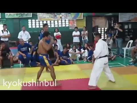 Kyokushin Karate vs Muay Thai