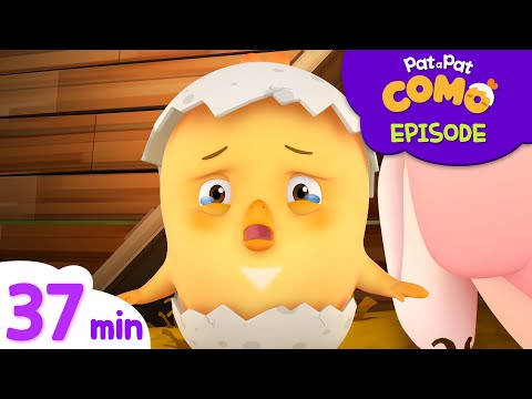 Como Kids TV | I'm Sorry, Tree + More Episodes 37min | Cartoon video for kids