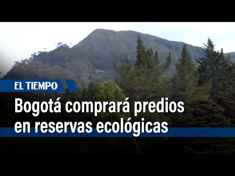 Bogot&aacute; firm&oacute; decreto para comprar predios ecol&oacute;gicos |&nbsp;El Tiempo