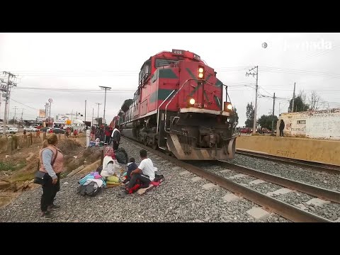 Miles de personas migrantes varadas, luego de ser bajadas de los trenes, en varios estados