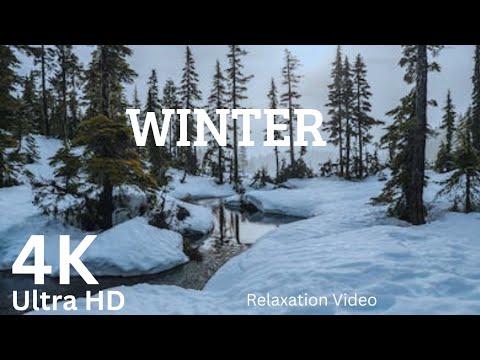 Wonderland 4K &bull; Winter Relaxation With Christmas Nature Sound and Relaxing Music