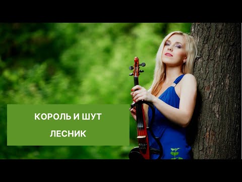 Король и Шут - Лесник (Violin cover) LIVE