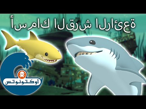 أوكتونوتس | أسماك القرش الرائعة 🦈 | حلقة خاصة بأسبوع القرش | رسوم متحركة للأطفا