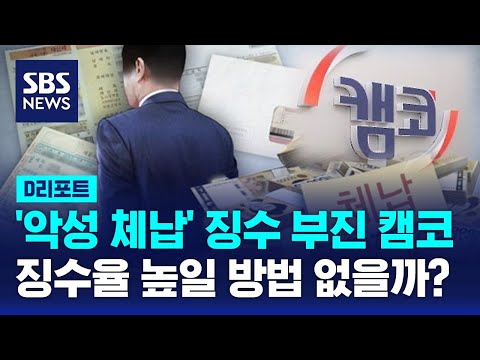 '악성 체납' 징수 부진 캠코, 징수율 높일 방법 없을까? / SBS / 