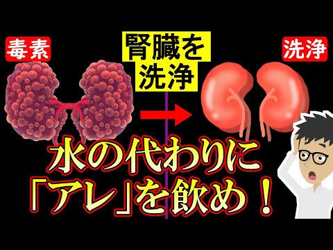 【科学的根拠あり】寝る前1杯飲むだけで腎機能改善！腎臓をキレイにする飲み物2選【クレアチニン｜高い｜老廃物｜高血圧】