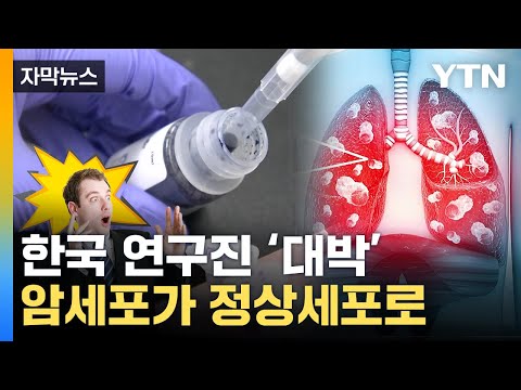 [자막뉴스] 이미 퍼진 폐암의 '돌변'...치료 혁명 쓴 한국 / YTN