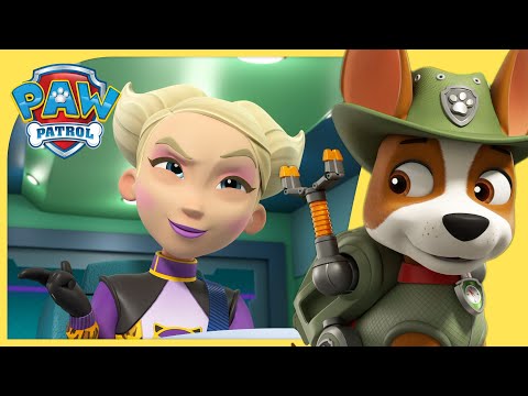 The Pups &amp; Tracker Save the Jungle and MORE | PAW Patrol | Cartoons for Kids