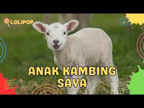 ✅ Lagu Anak Kambing Saya | Lagu Anak Indonesia | Lagu Anak Balita | Lagu Anak Terbaru