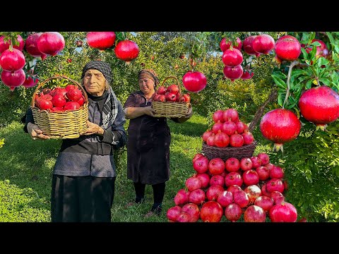 Grandmother Picked Fresh Pomegranates from Her Branch | A Video Full of Extraordinary Recipe