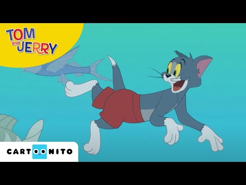 Tom i Jerry Show | Wędkowanie | Cartoonito