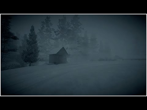 Freezing Blizzard in the Forest┇Howling Wind &amp; Blowing Snow┇Sounds for Sleep, Study &amp; Relaxation