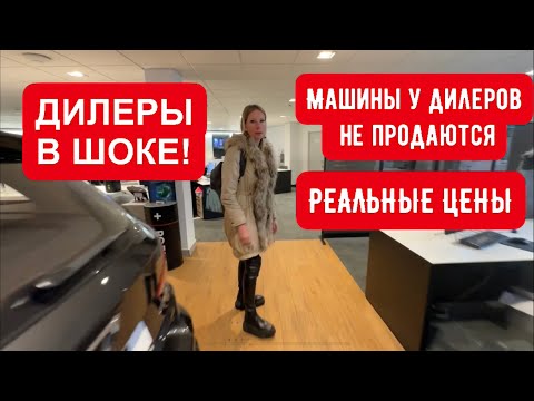 ПРОВАЛ ПРОДАЖ У ДИЛЕРОВ! РЕАЛЬНЫЕ ЦЕНЫ и СИТУАЦИЯ НА РЫНКЕ