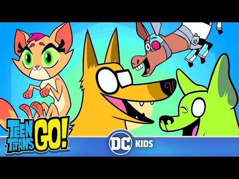 Teen Titans Go! En Latino | El deseo de los animales | DC Kids