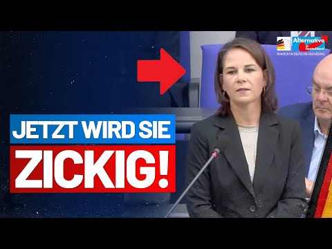 Regierungsbefragung: AfD-Fraktion nimmt gr&uuml;ne Ministerinnen ins Kreuzverh&ouml;r!