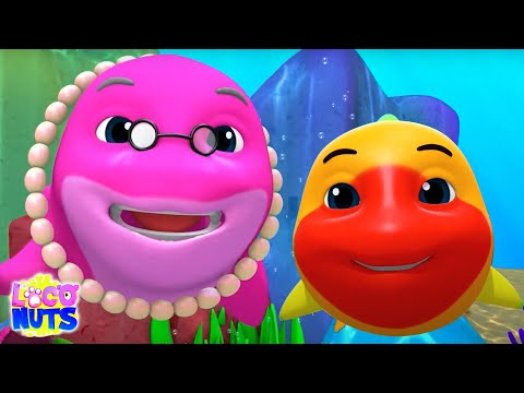 Baby Shark Song - Sing Along | Shark Song | Nursery Rhymes and Baby Songs | Children's Music