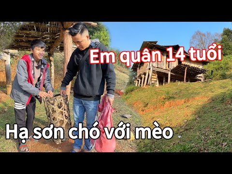 SỐC. NGHE TIN NGƯỜI BỐ NGHIỆN RƯỢU VỀ .EM QU&Acirc;N 14 TUỔI NHANH CH&Oacute;NG CHUYỂN CH&Oacute; VỚI M&Egrave;O XUỐNG NH&Agrave; MỚI