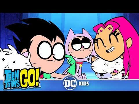 Teen Titans Go! | More Cats ?Cats ?Cats ?| @dckids