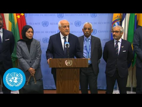 Arab Group &amp; Islamic Group on Palestine - Media Stakeout | UN Security Council