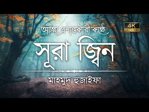 সূরা জিন এর অন্তর তৃপ্তকারী তিলাওয়াত ┇ Recited by Mahmud Huzaifa ┇ An Nafee ┇ আন নাফী