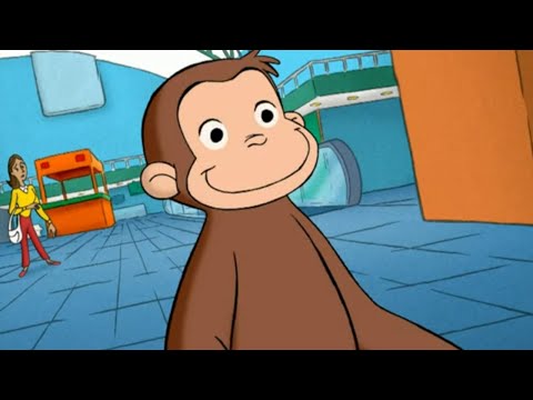Curious George Takes a Vacation | Curious George | Cartoons for Kids | WildBrain Zoo