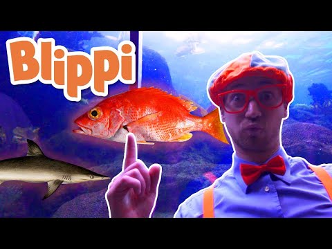 Blippi Deutsch - Blippi besucht ein Aquarium (Ody Aquarium) | Abenteuer und Videos f&uuml;r Kinder