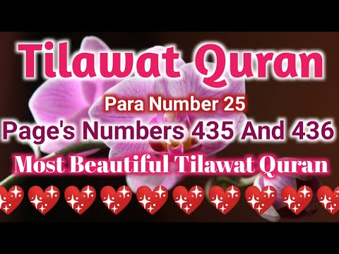 Para 25 Arabic | Emotional Quran Recitation | Hafizislamitv