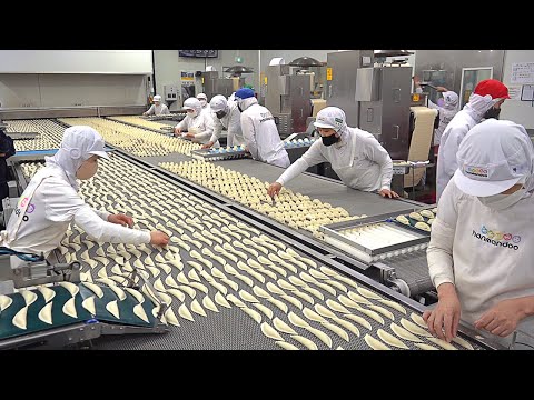 만두공장 Amazing mass production! Daily 20 tons! Dumpling making process - Korean food factory