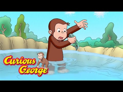 George rescues a little fish 🐵 Curious George 🐵 Kids Cartoon 🐵 Kids Movies