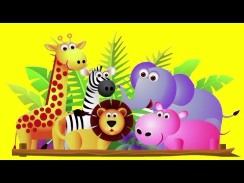 Animal names for kids