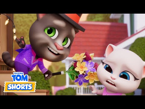 ⭐️ Angela&rsquo;s Talent Show &amp; More 🪩 Talking Tom Shorts