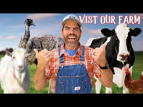 Meet the Animals! (Fun Educational Video For Kids &amp; Families)