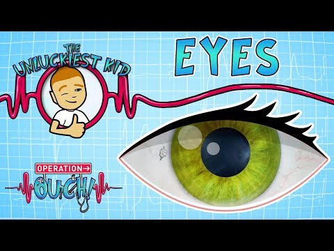 Science for kids | Body Parts - EYES | Experiments for kids | Operation Ouch