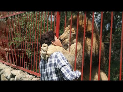 Animals Reunited with Owners After Years!