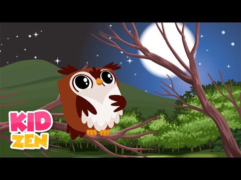 10 Hours Relaxing Baby Sleep Music | B&uacute;ho Tranquilo 🦉 Calm Piano Lullaby for Kids (Extended)