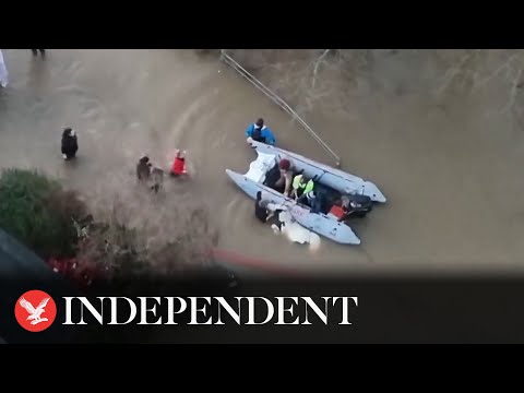 Cow rescued by dinghy after being stranded in Storm Henk floods