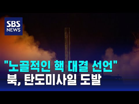 북, 단거리 탄도미사일 도발&hellip;한미 핵협의 맹비난 / SBS