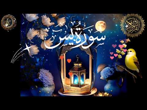 surah Ya-sin🌹 (yaseen) full || surah yaseen with urdu translation ||🌹سورہ یاسین || تلاوت