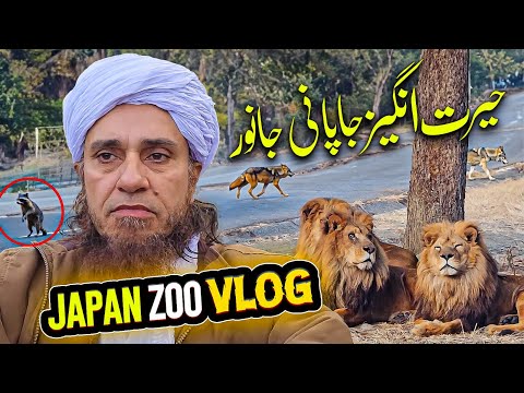 Mufti Tariq Masood - Japan Zoo Full Vlog