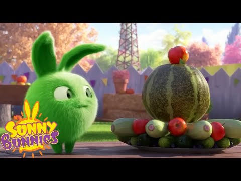 HAPPY THANKSGIVING WITH SUNNY BUNNIES! | Season 4 | Cartoons for Children