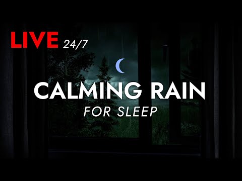 🔴 Rain Sounds for Sleeping with an Open Window Experience  - 24/7 Livestream | Deep Sleep Sounds