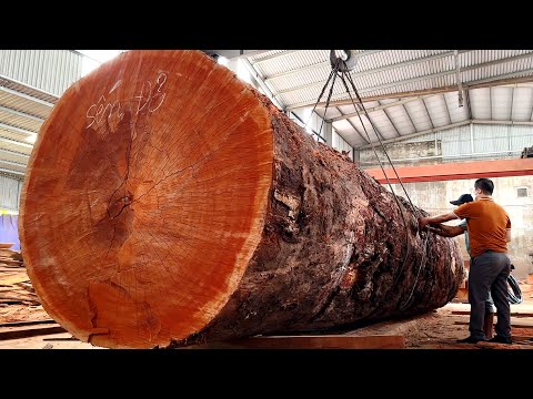 Wood Cutting Skills // Giant Wood Saw Working At Full Capacity