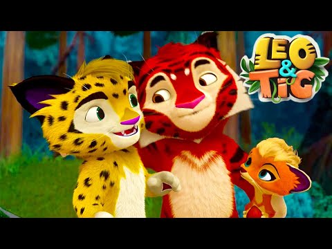 Leo and Tig 🦁 All episodes in row 🐯 Funny Family Good Animated Cartoon for Kids