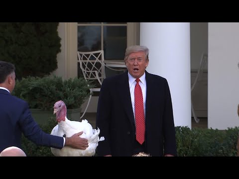 Trump jokes about impeachment as he pardons turkey