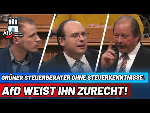 Gr&uuml;ner Steuerberater ohne Steuerkenntnisse: AfD weist ihn zurecht!