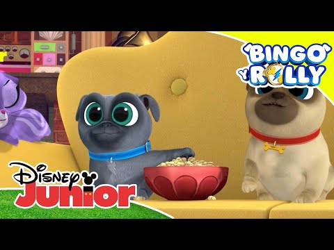 Bingo y Rolly: &iexcl;Imita y encontrar&aacute;s! | Disney Junior Oficial