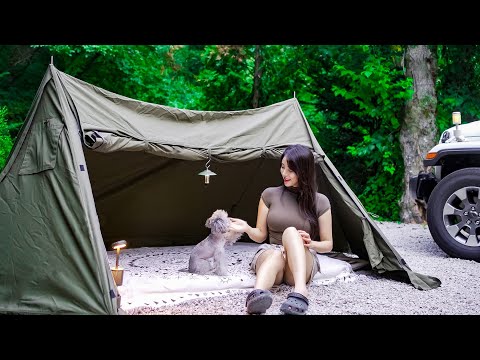 Solo Camping in the Forest with sudden Autumn Rain ☔ | Relaxing ASMR