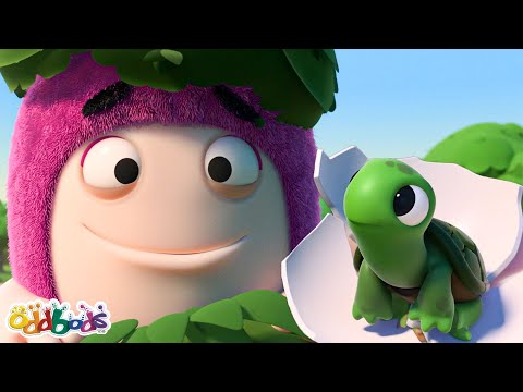 You So Totally Rock, Newt! 🐢 | Oddbods Cartoons | Funny Cartoons For Kids